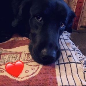 Meet your Posher, Carla